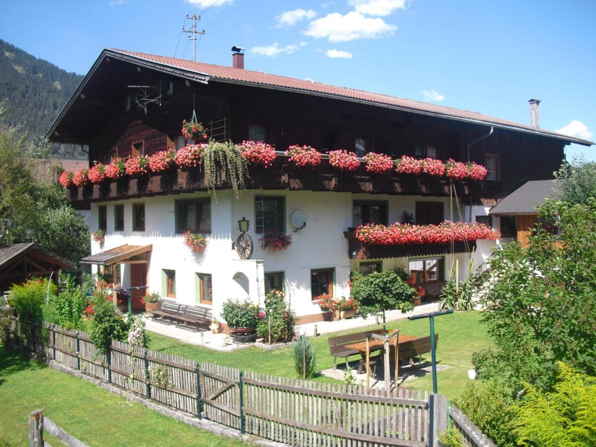 Apartment Olga Geiger - Bergheimat
